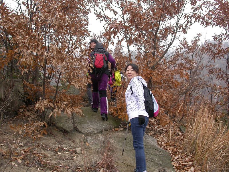 dscn8213.jpg