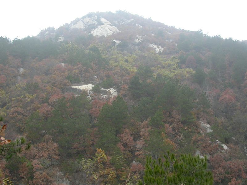 dscn8219.jpg