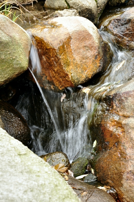 _dsc0187_2151.jpg