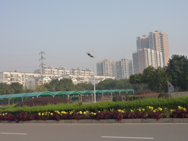 p1090531.jpg
