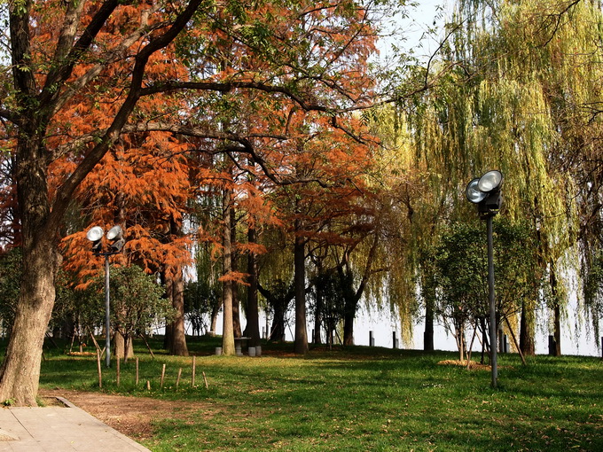 pc057429_С.jpg