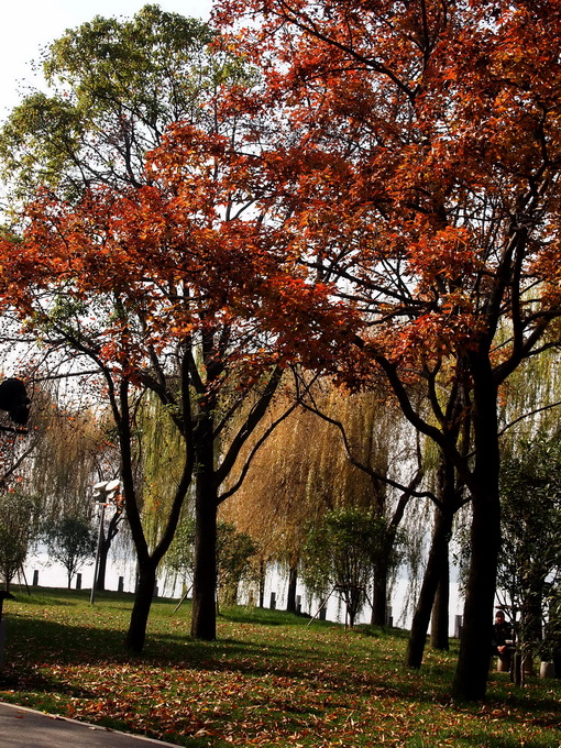 pc057447_С.jpg