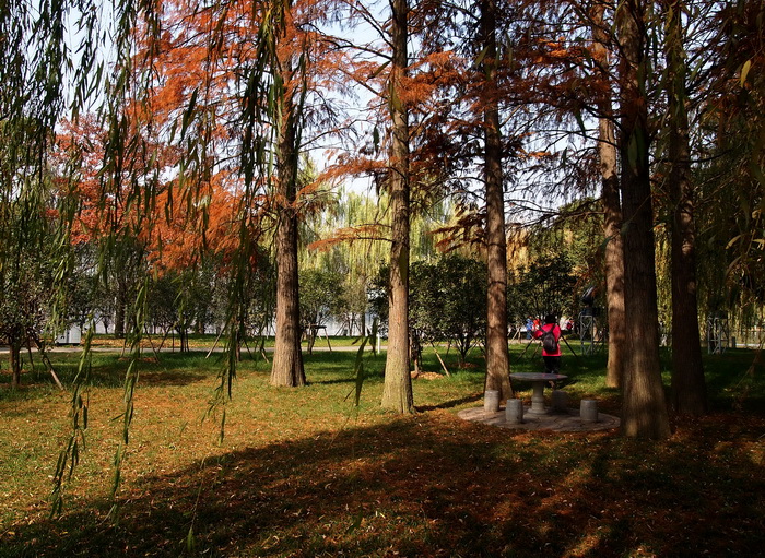 pc057444_С.jpg