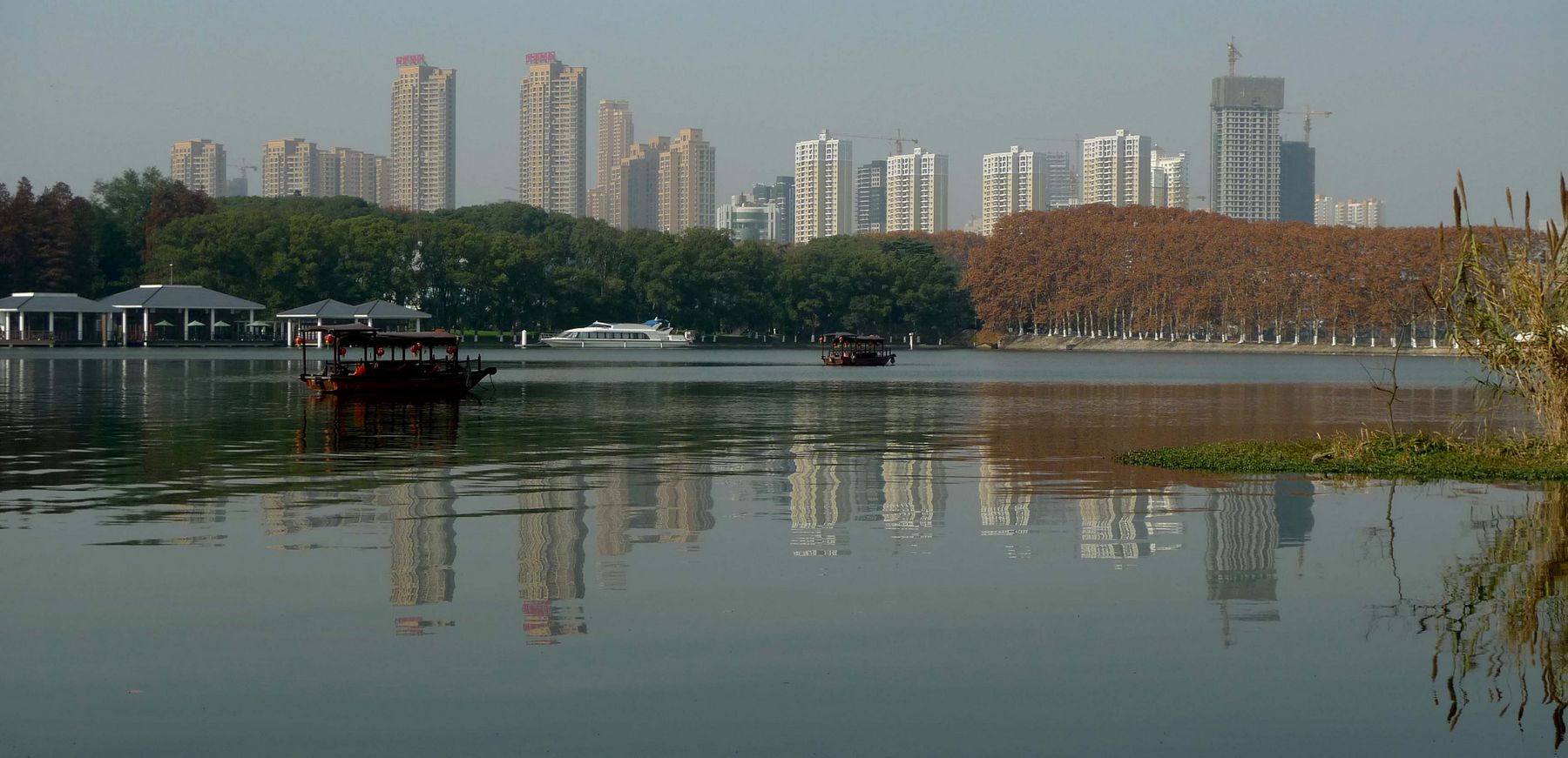p1150484.jpg