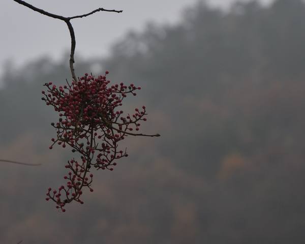 2012.12.2ʮ̶049049.jpg