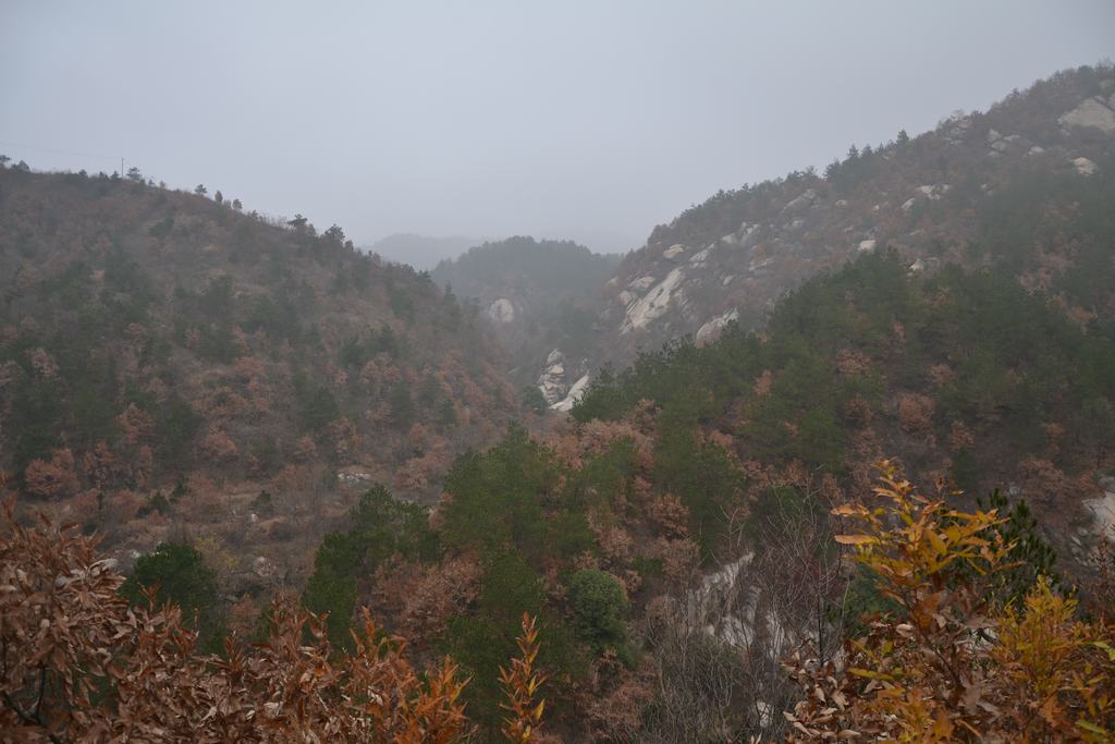 dsc_9403.jpg