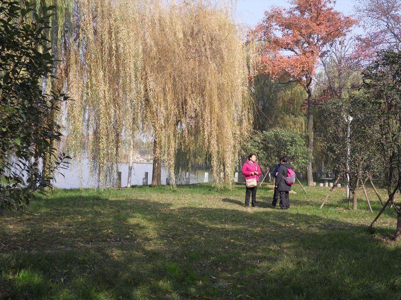sdc15108.jpg