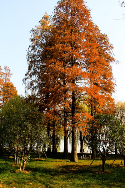 img_3346_СС.jpg