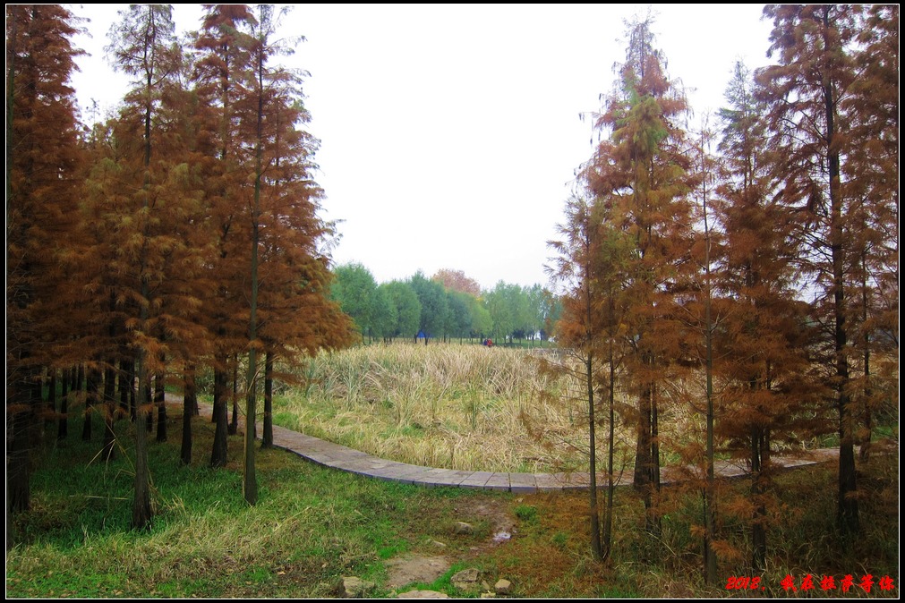 z23.jpg