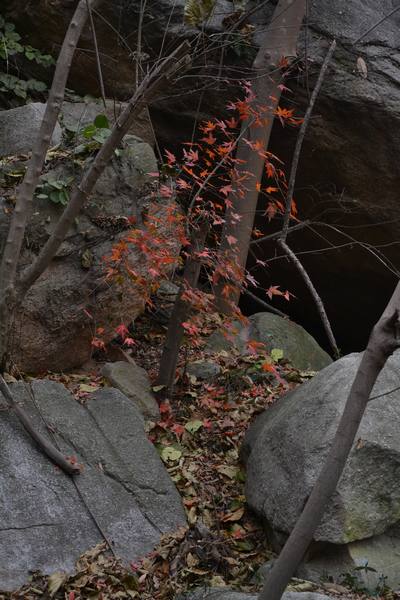 2012.12.2ʮ̶074074.jpg