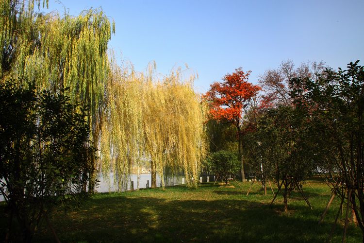 neo_img_2012.12.5 278.jpg