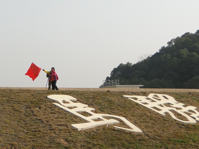 19.jpg