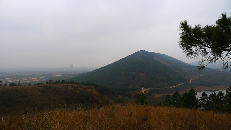w4.jpg