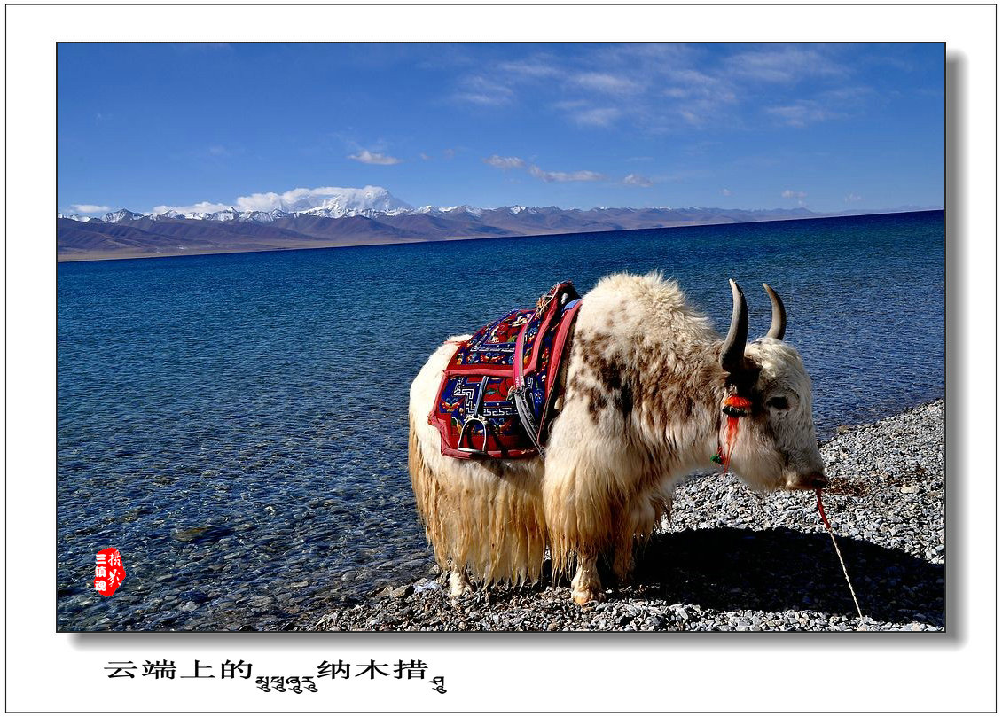 dsc_1590_conew1.jpg