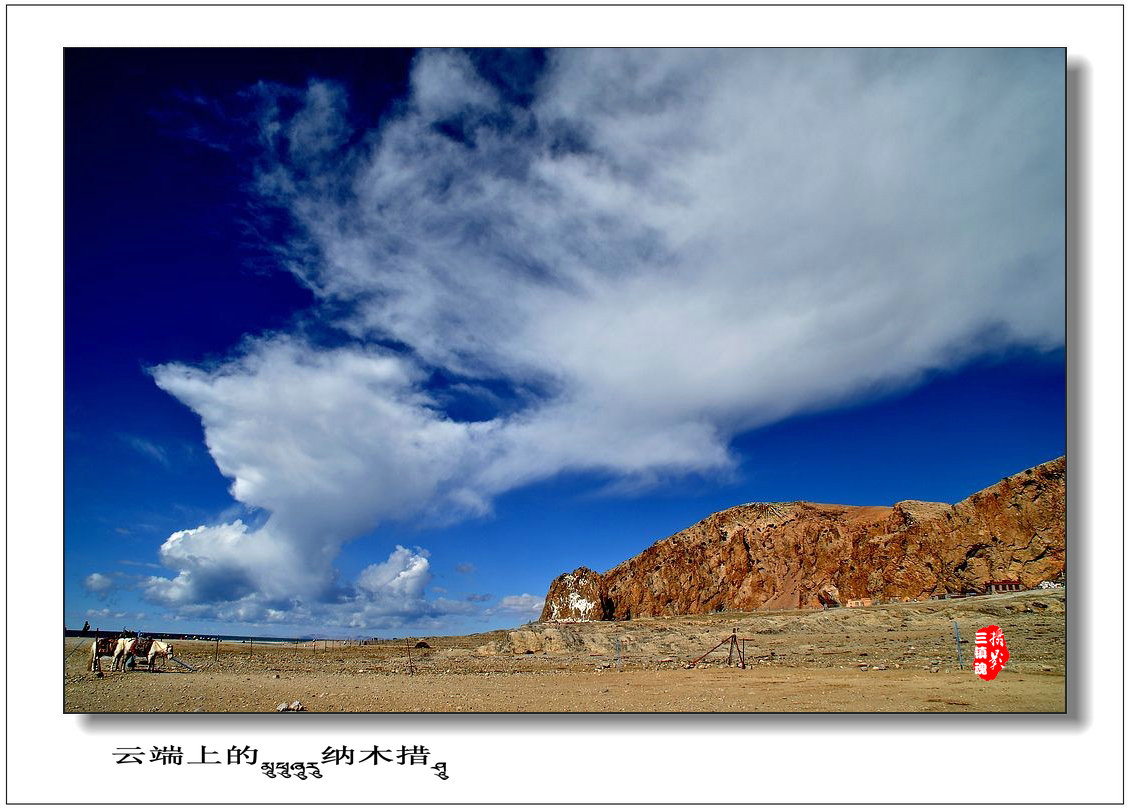 dsc_1631_conew1.jpg