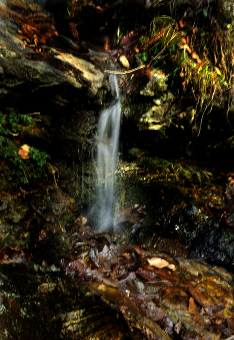 _dsc6386.jpg
