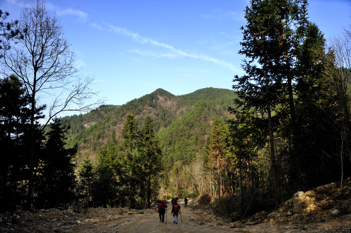 _dsc6395.jpg