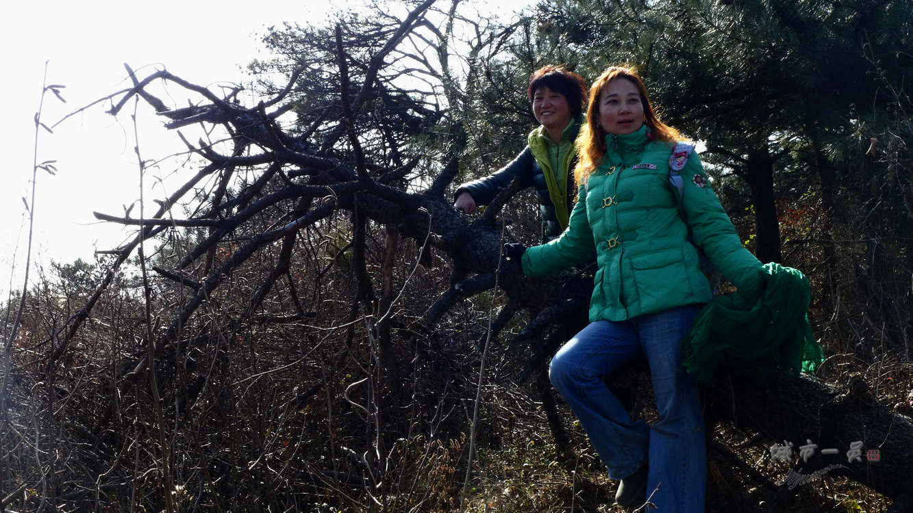 p1040954.jpg