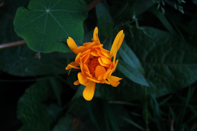 200910֥С1- һԱ.jpg