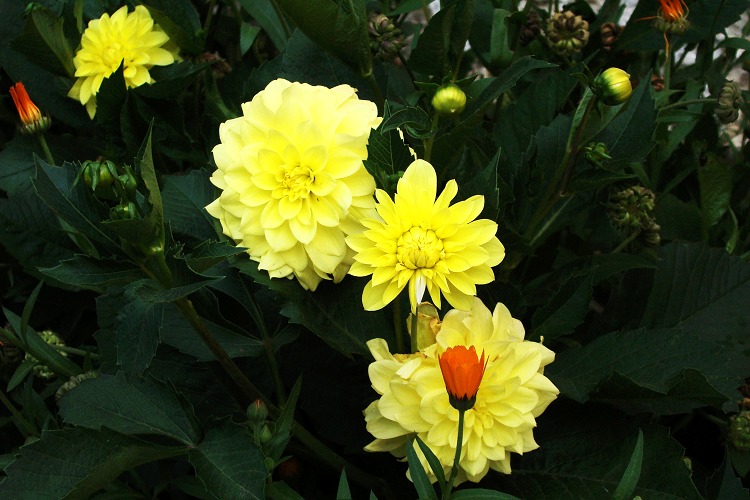 200910֥С3- һԱ.jpg