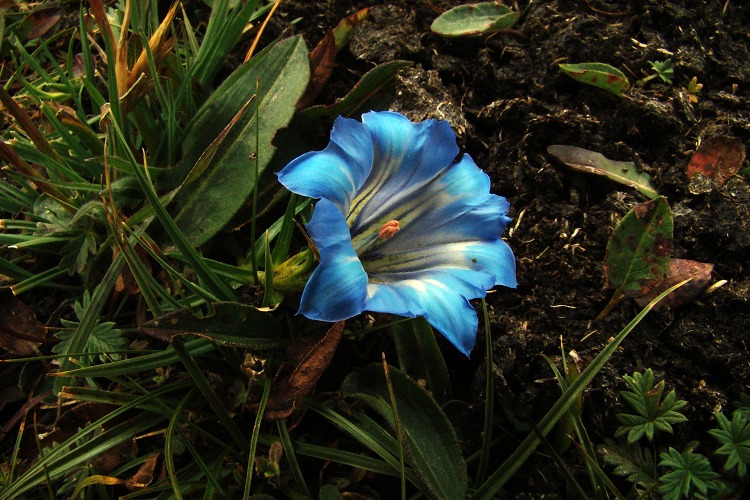 200910С1- һԱ.jpg