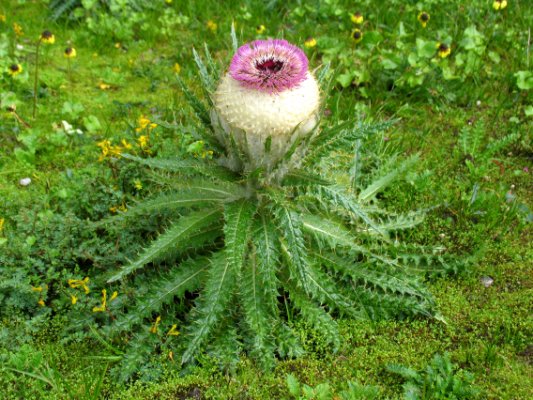 20090431ѩ-ĺṩ.jpg