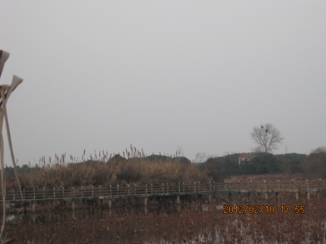 img_5729.jpg