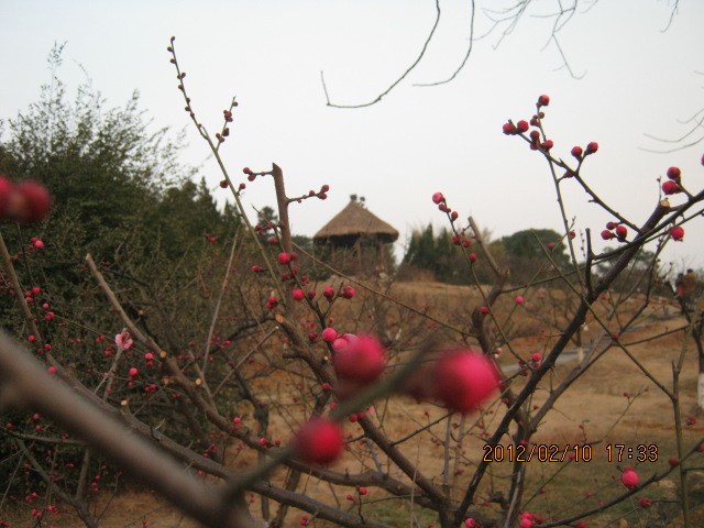img_5718.jpg
