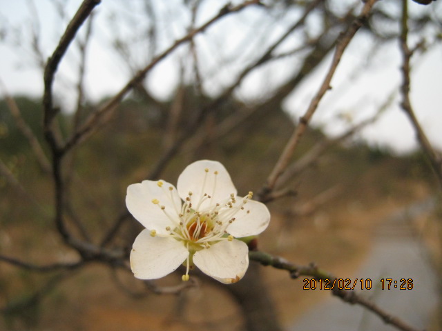 img_5700.jpg