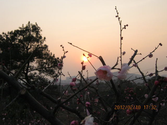 img_5714.jpg