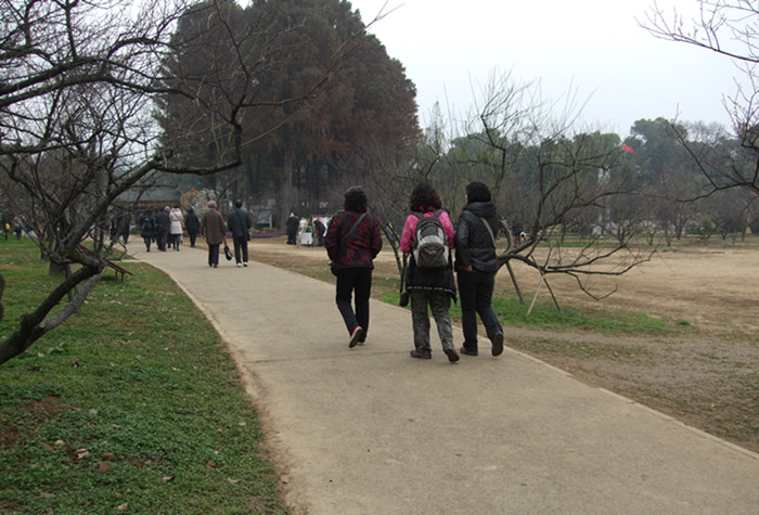 dscf3665.jpg