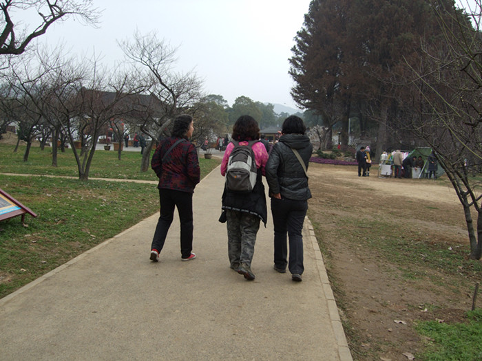 dscf3666.jpg