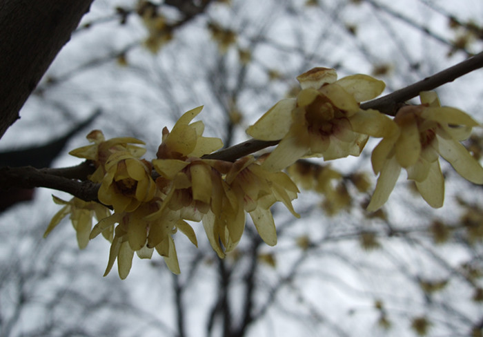 dscf3654.jpg