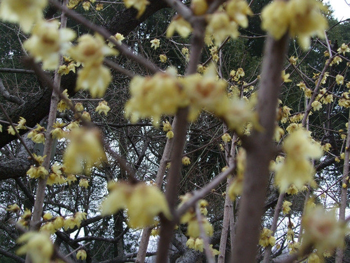 dscf3653.jpg