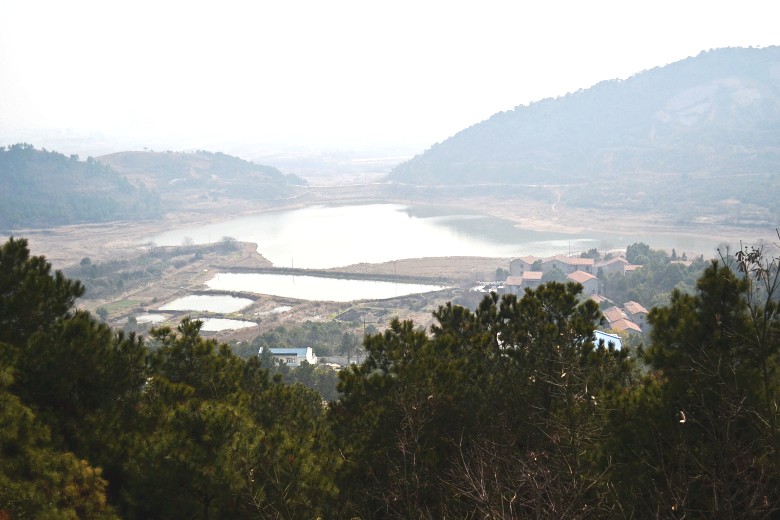 ŷ 068_conew1.jpg