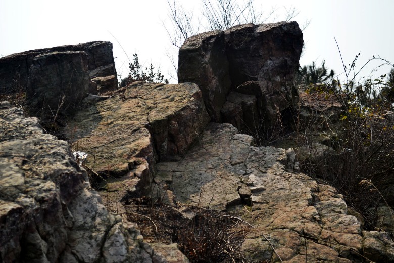ŷ 052_conew1.jpg