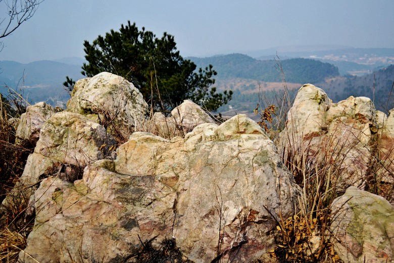 ŷ 032_conew1.jpg