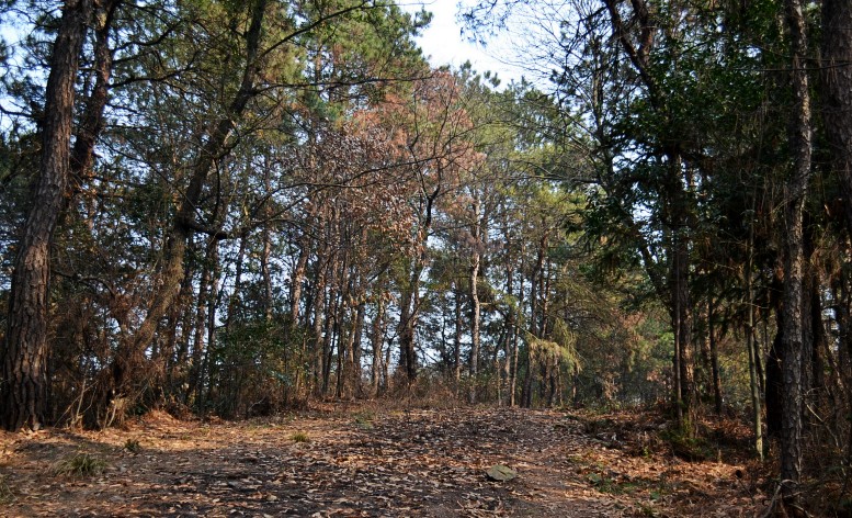 ŷ 088_conew1.jpg