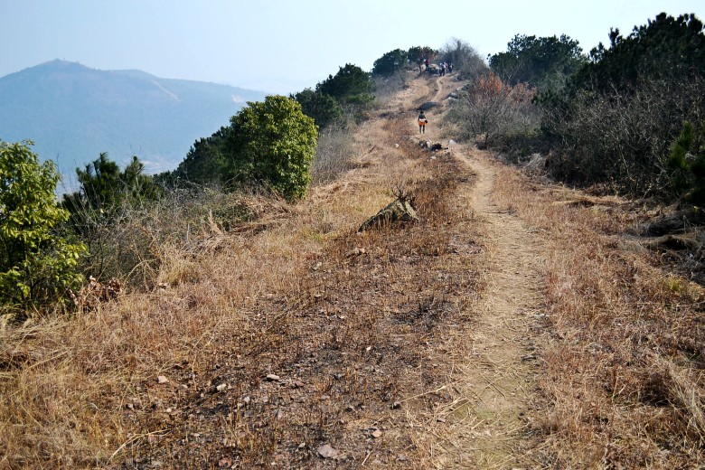 ŷ 035_conew1.jpg