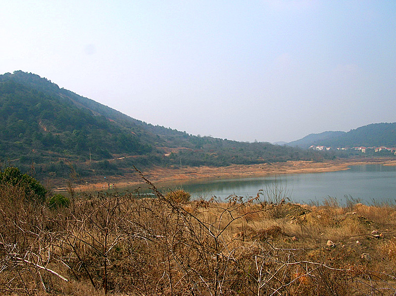 dscn4482_.jpg