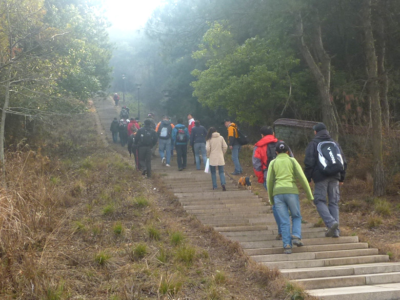 p1100627_.jpg