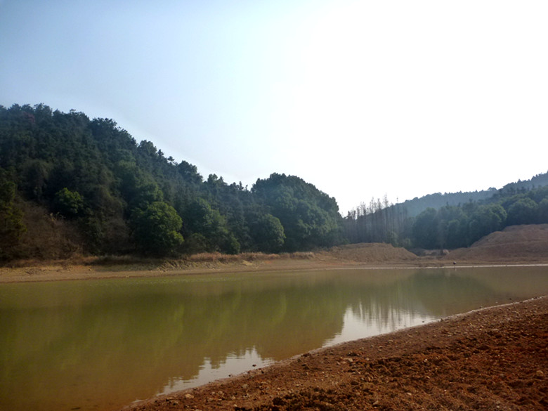 p1100630_.jpg