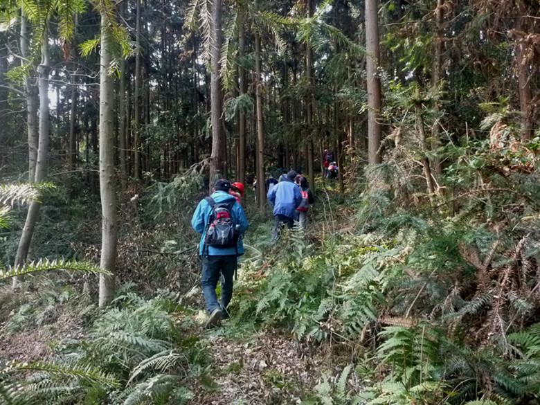p1100635_.jpg