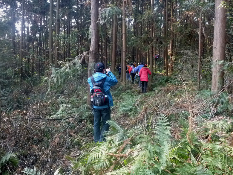 p1100636_.jpg