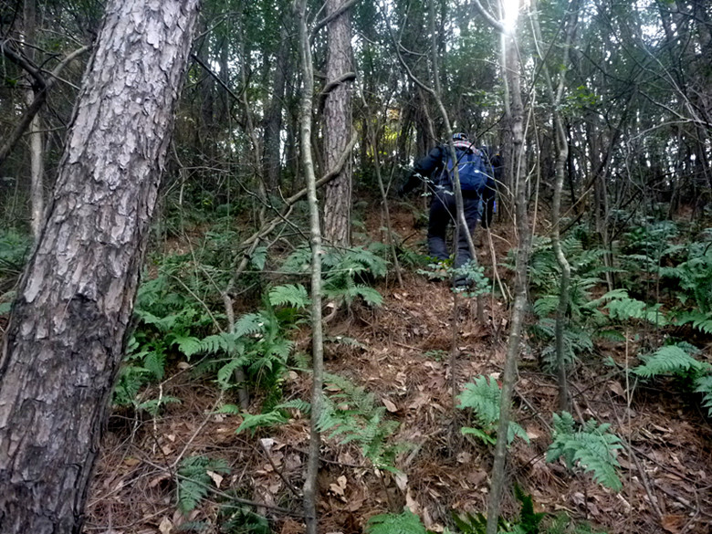 p1100640_.jpg