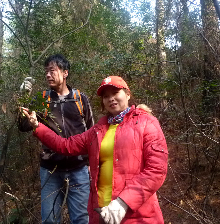 p1100642_.jpg
