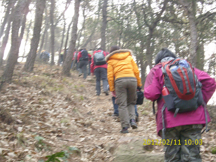 dsci1518.jpg