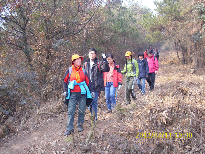 dsci1537.jpg