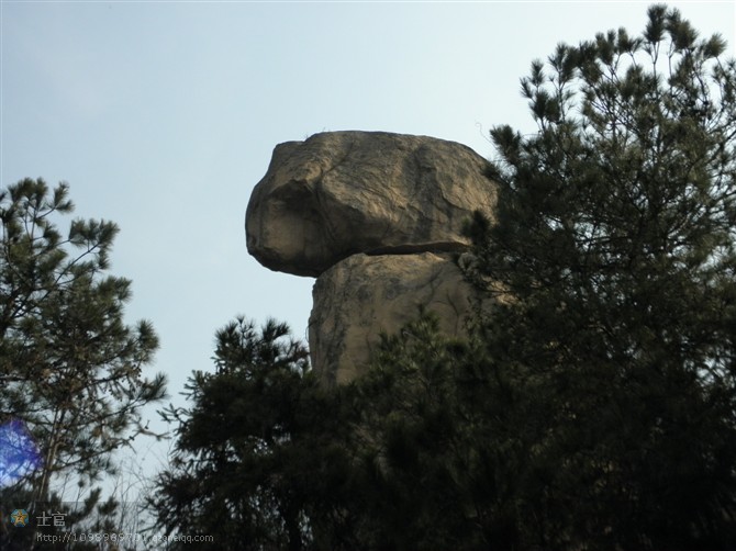 psb24.jpg