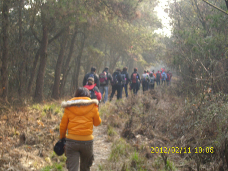 dsci1529.jpg